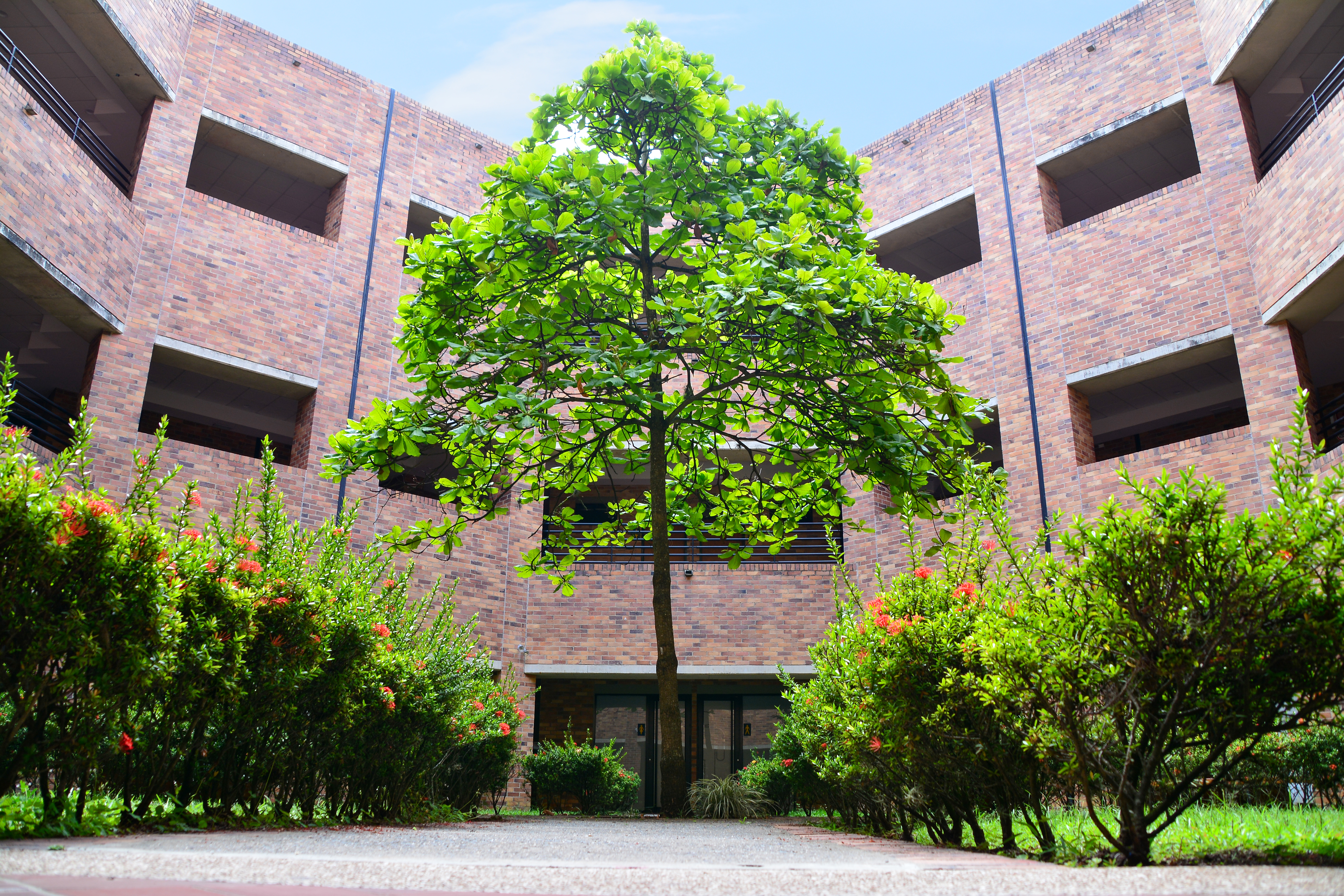 imagen-campus-javeriana-edificio-almendros