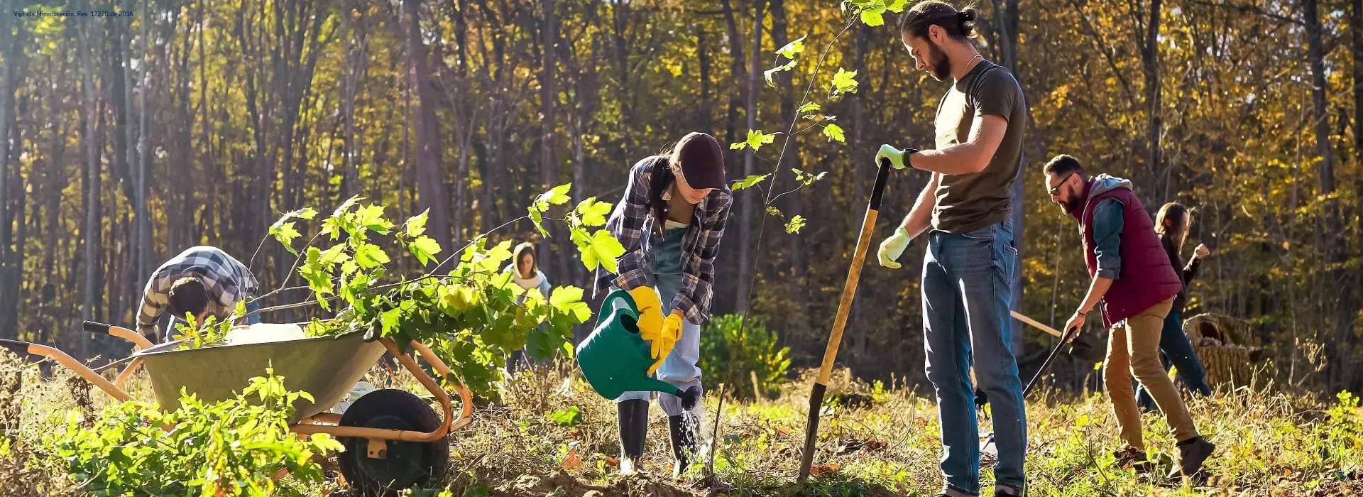 Diplomado en Restauración Ambiental y Desarrollo Comunitario