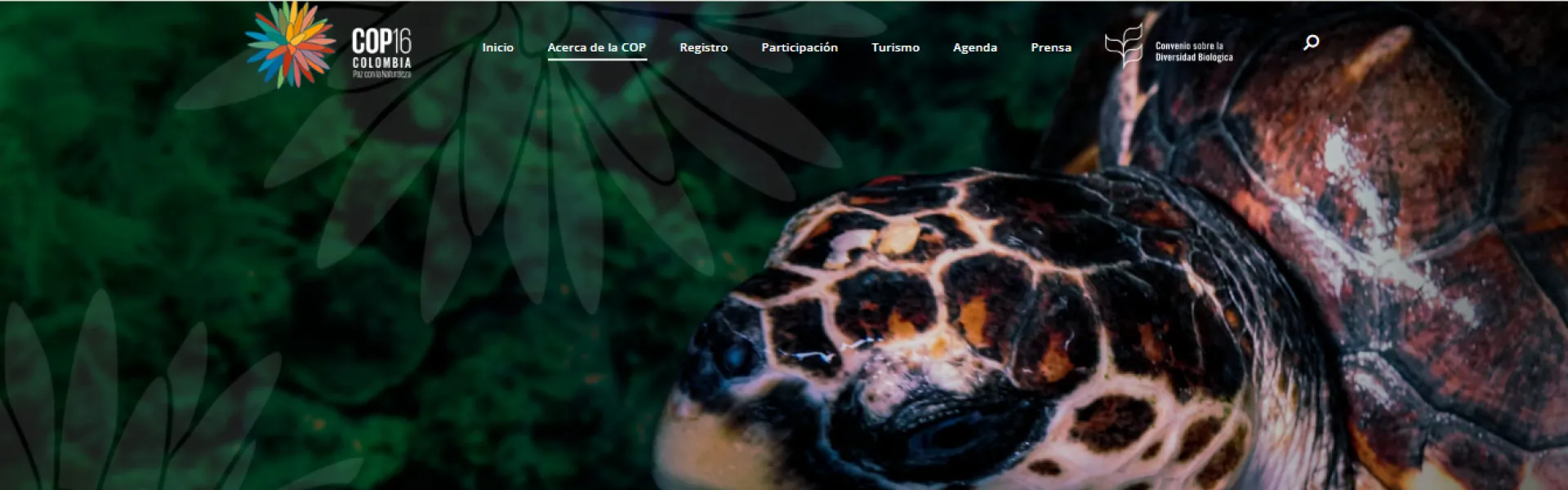 Conoce más acerca de la COP16 Conoce más acerca de la COP16