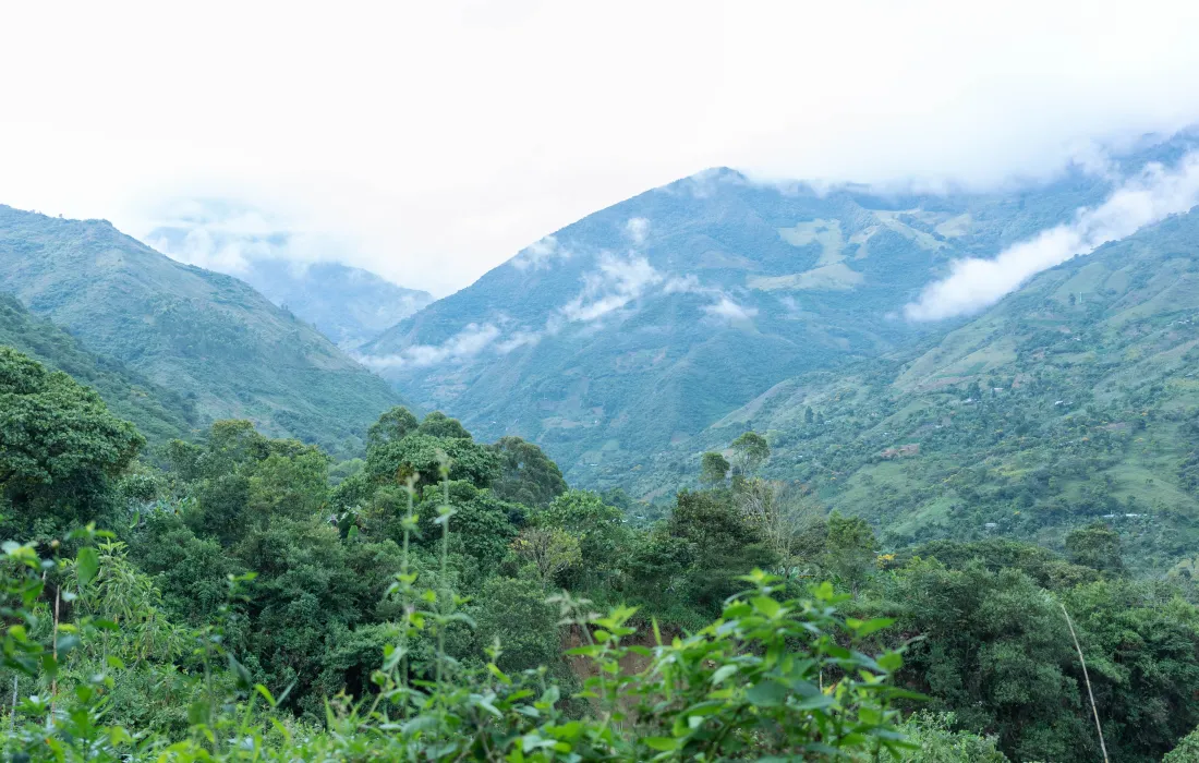 Columna en la Silla Vacía sobre contexto de las tierras rurales en el Cauca.