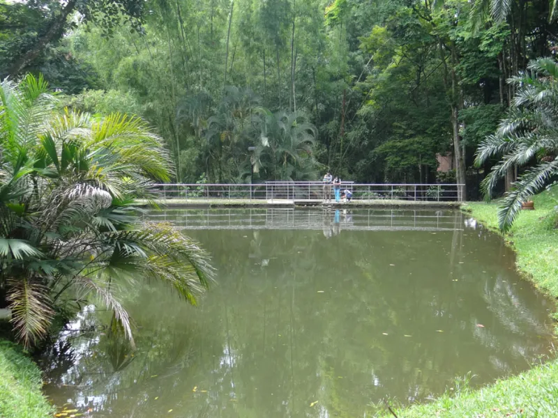 Gobernanza público-comunitaria, la clave para la protección de los humedales urbanos 