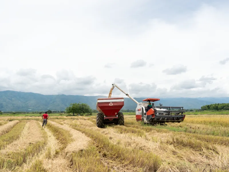 fortalecer las economías propias fortalecer las economías propias