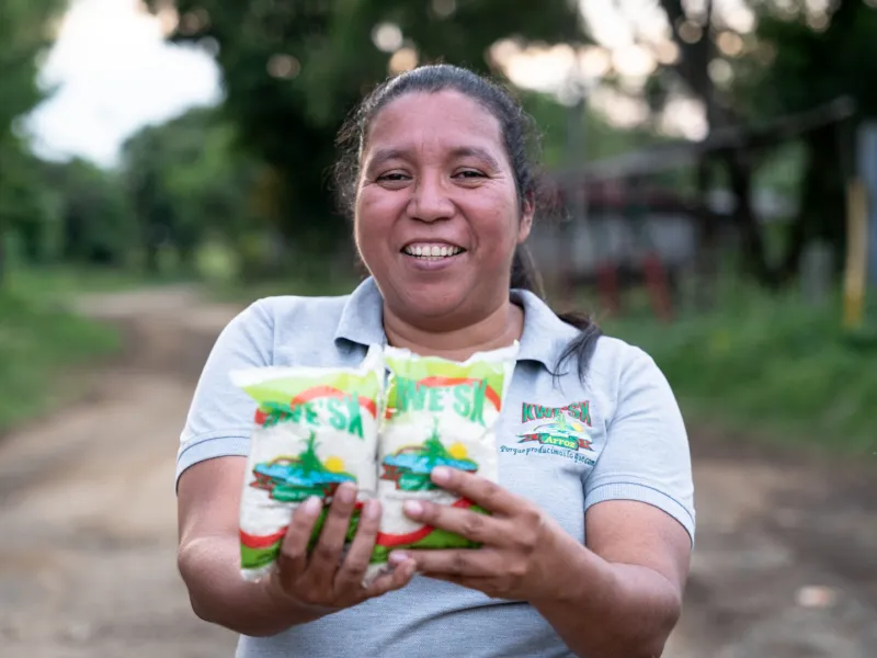 autonomía económica territorial autonomía económica territorial